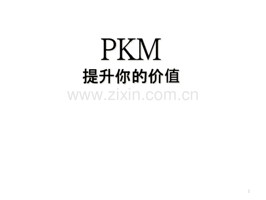 个人知识管理.ppt_第1页