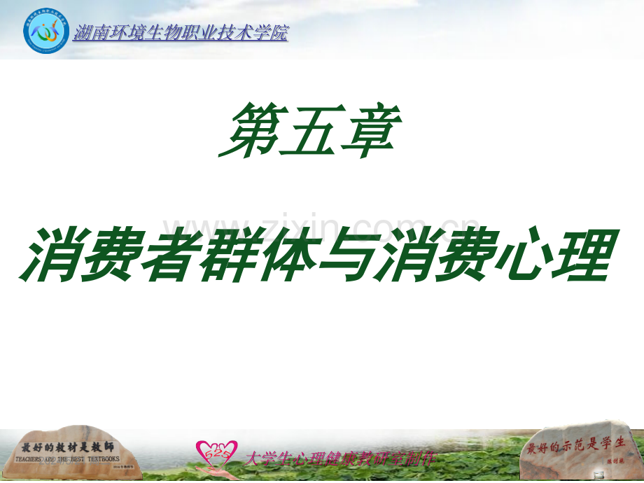 第五章消费群体心理-.ppt_第1页