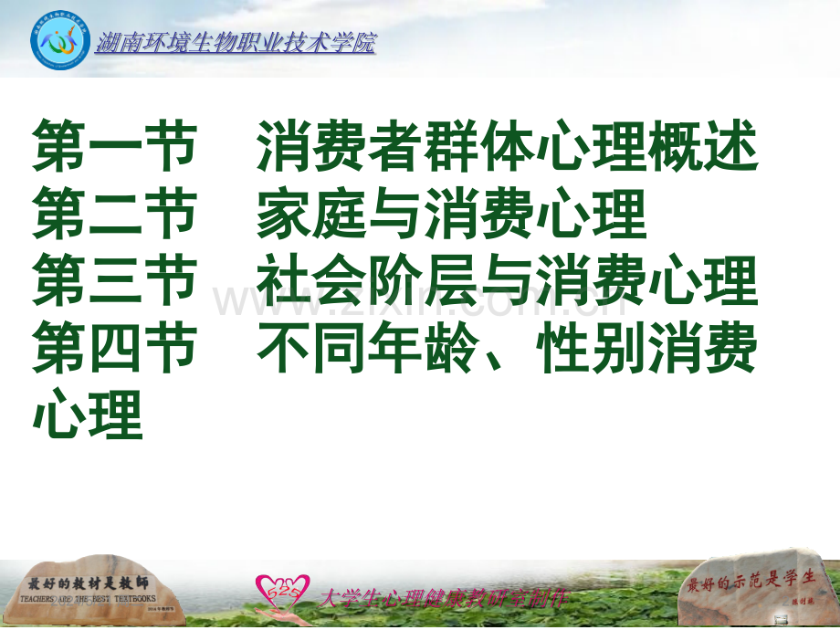 第五章消费群体心理-.ppt_第2页