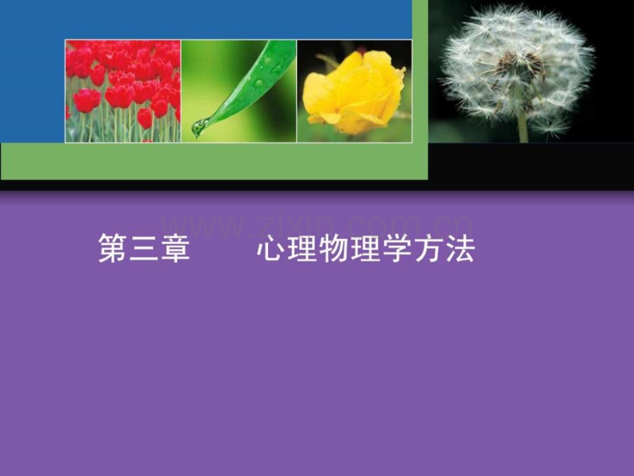 实验心理学心理物理学方法-1.ppt_第1页