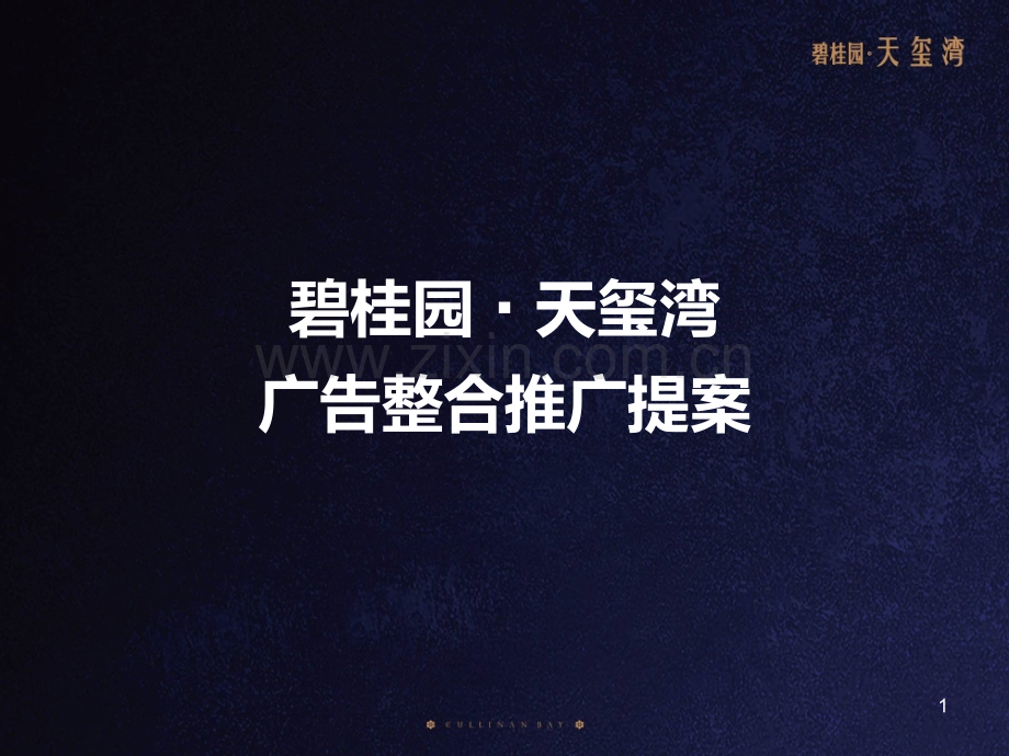 碧桂园·天玺湾广告整合推广提案-精简版.ppt_第1页