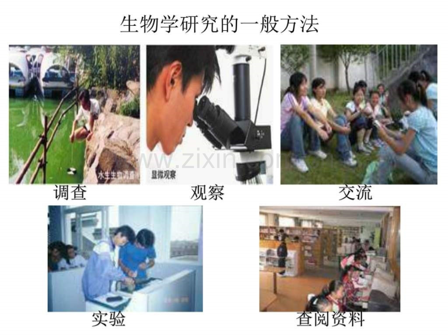 七级生物生物学研究基本方法.ppt_第2页