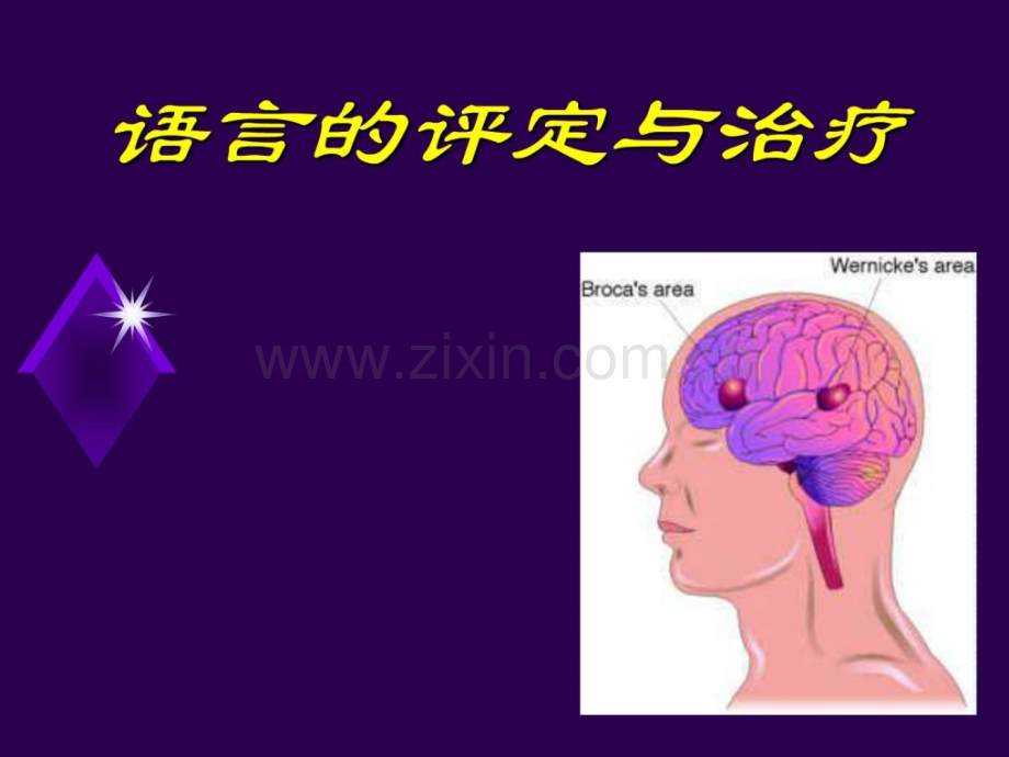 措辞康复评定与治疗.ppt_第1页