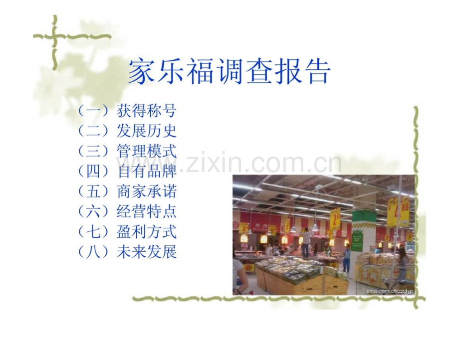 家乐福调查报告.ppt_第2页