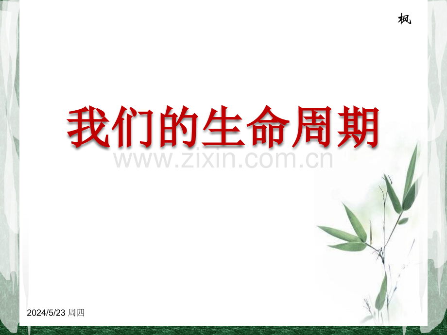 《我们生命周期》探究.ppt_第1页