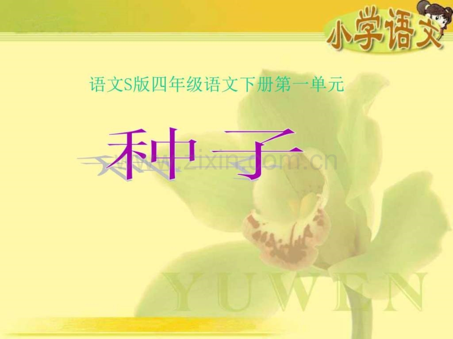 《种子》(语文S版四级下册).ppt_第1页