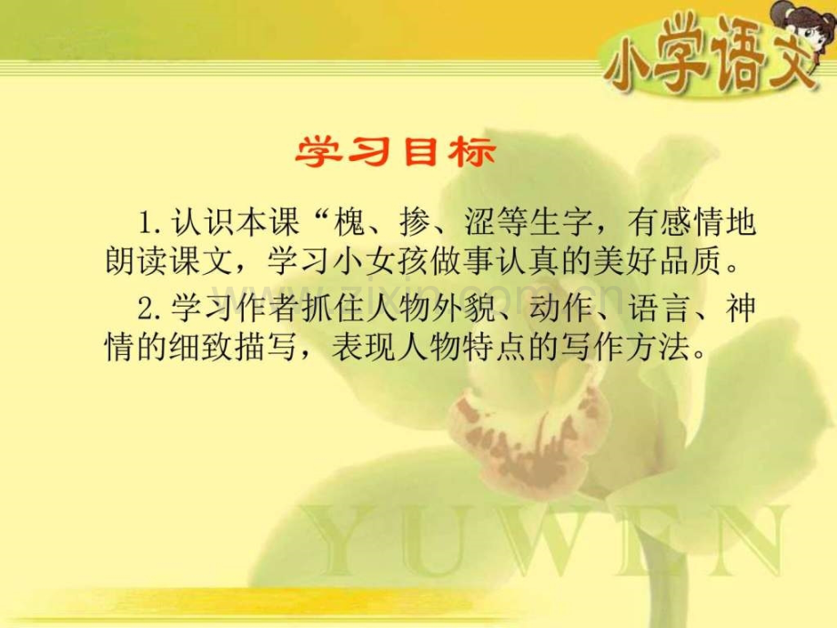 《种子》(语文S版四级下册).ppt_第2页