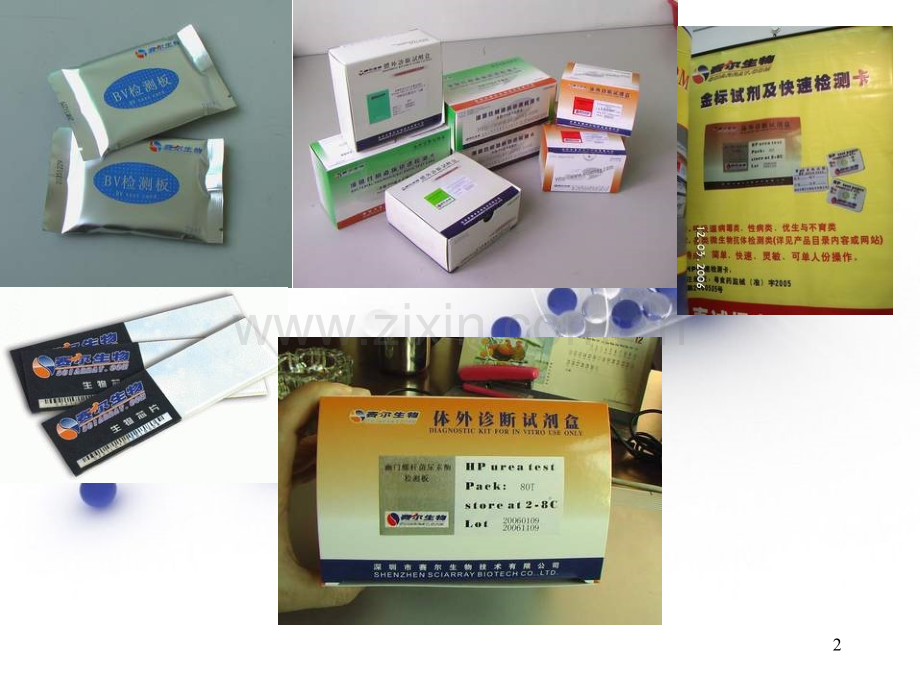 金标技术-.ppt_第2页