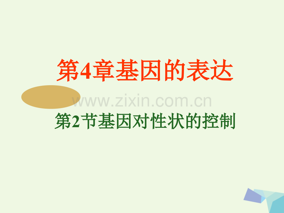 高中生物-第四章-基因的表达-4.2-基因对性状的控制-新人教版必修2.ppt_第1页