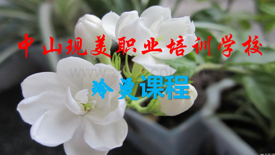 冷烫课程.ppt_第1页