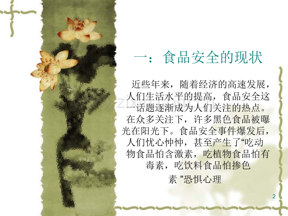 思政课个人分享.ppt_第2页