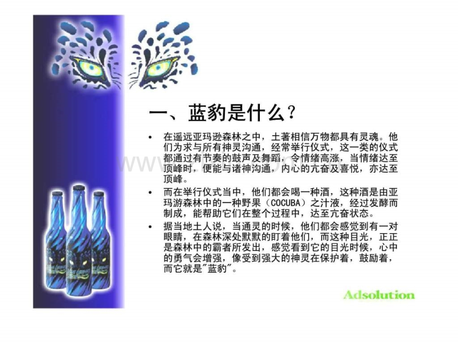 “蓝豹”汽酒开发之可行性报告.ppt_第2页
