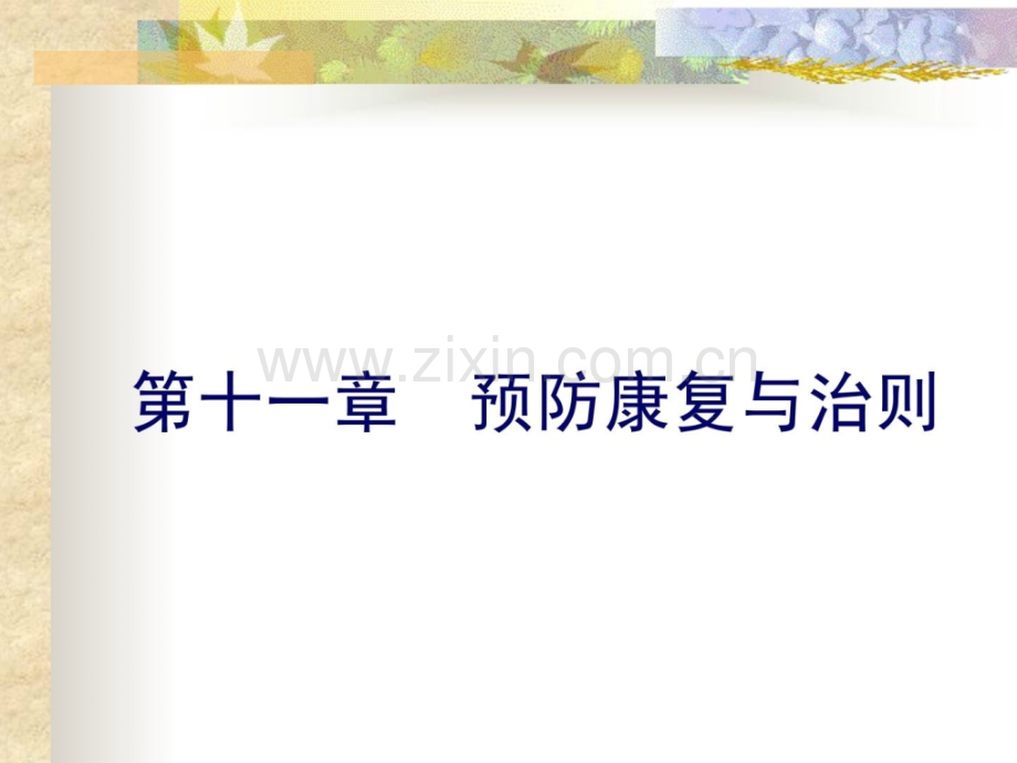 第十一章--预防康复与治则.ppt_第1页