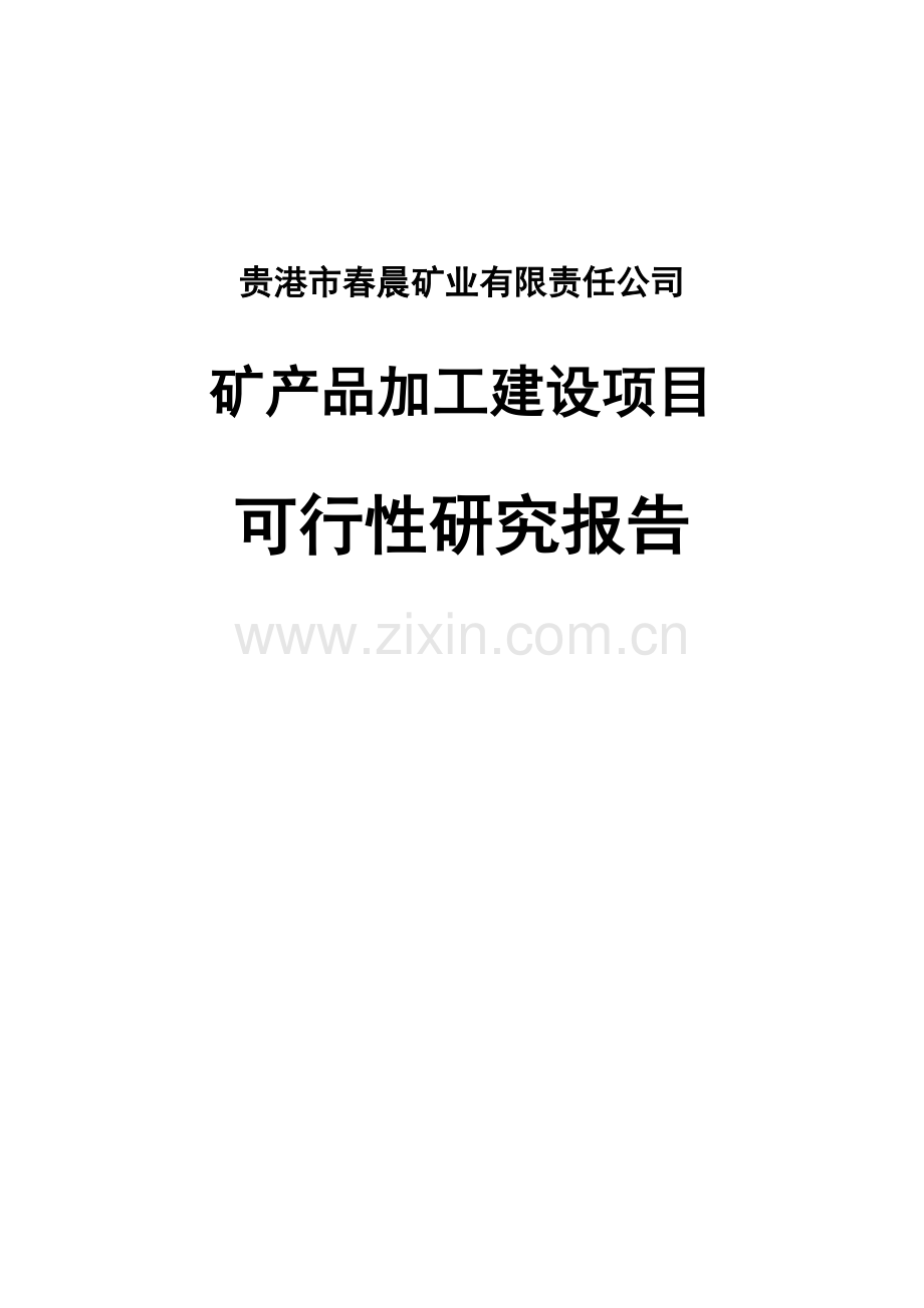 矿产品加工建设项目可行性研究报告.doc_第1页