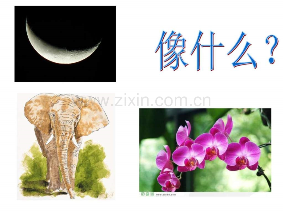 三级下册语文练习5.ppt_第2页