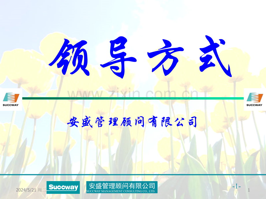 领导方式-.ppt_第1页
