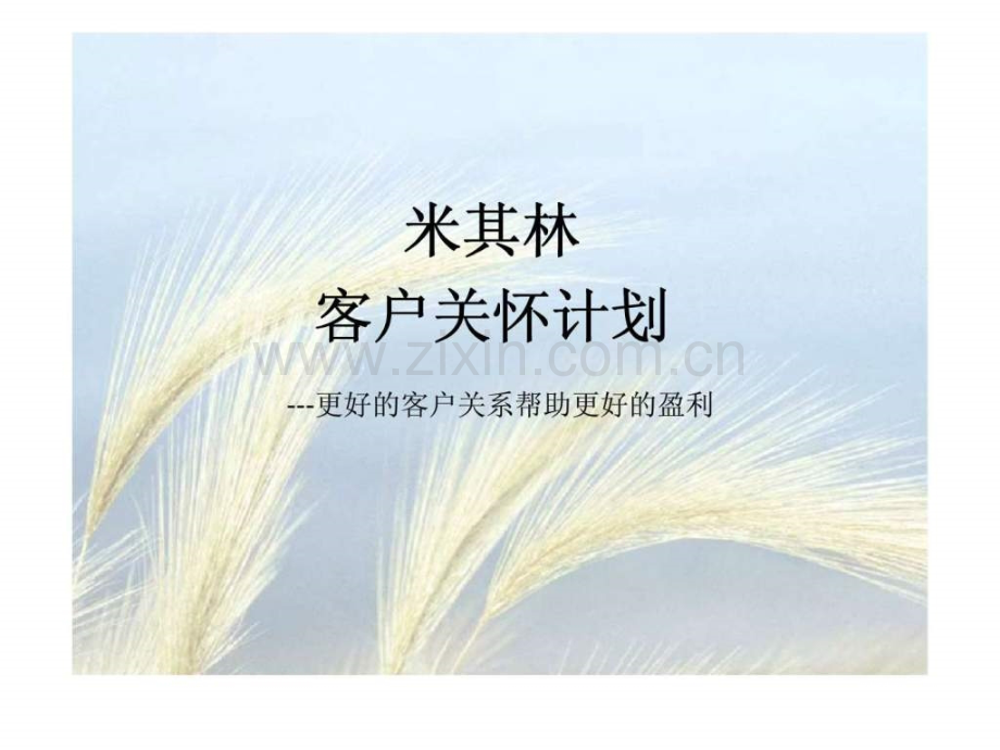 客户关怀计划——更好客户关系帮助更好盈利.ppt_第1页