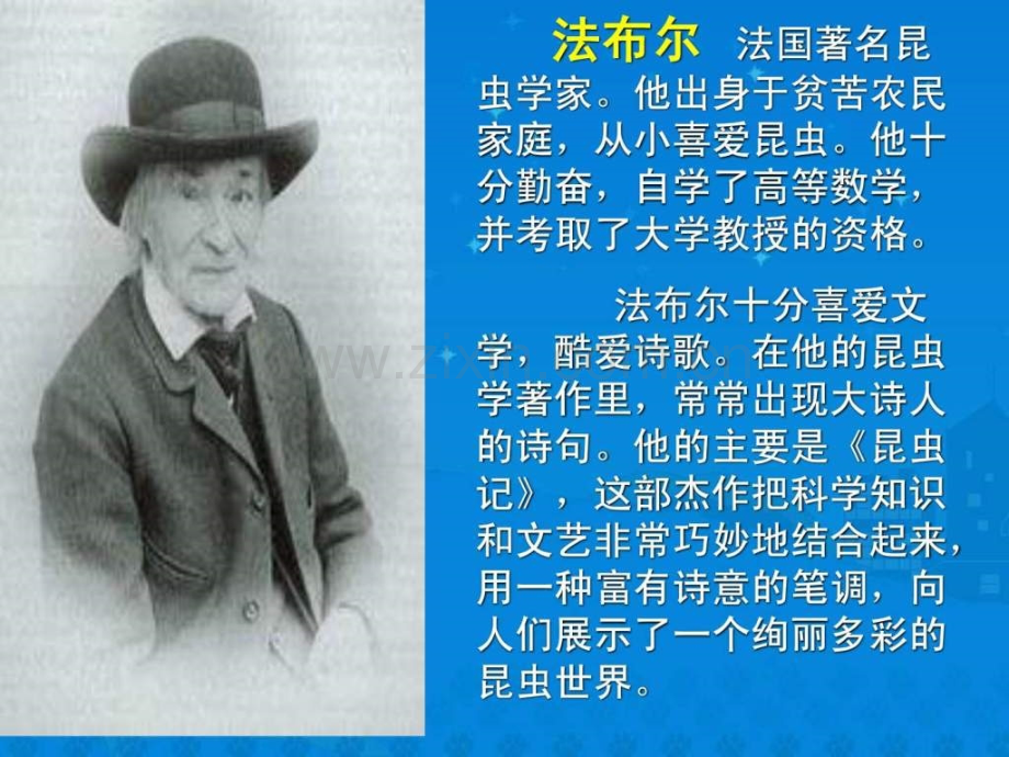 《蟋蟀住宅》课堂演示.ppt_第2页