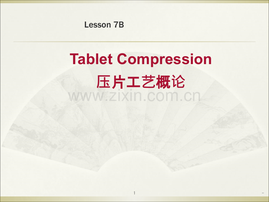 Tablet-Compression压片工艺概论-cn.ppt_第1页