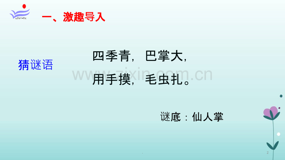 《仙人掌》教学.ppt_第2页