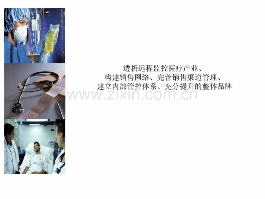 完整项目咨询建议书(包括市场营销和产品规划).ppt_第1页
