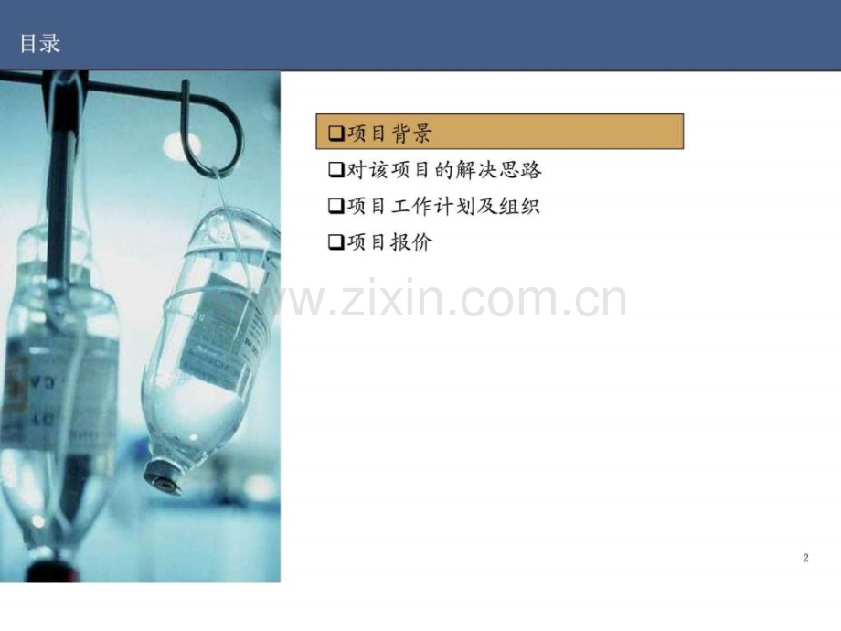 完整项目咨询建议书(包括市场营销和产品规划).ppt_第2页