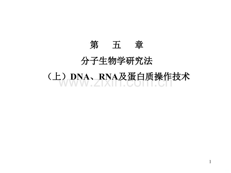 北大分子生物学-朱玉贤.ppt_第1页