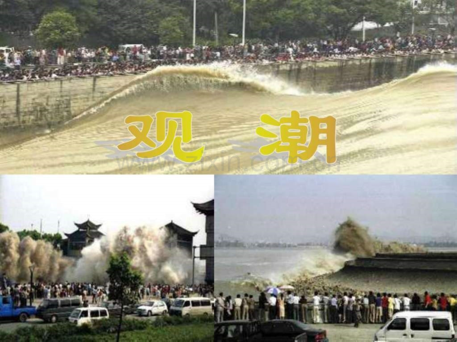 人教版小学语文第7册《观潮》.ppt_第1页