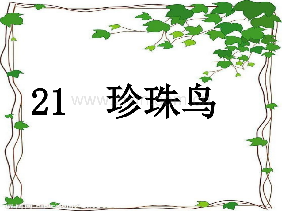 人教版小学语文五级上册《珍珠鸟》课件.ppt_第1页