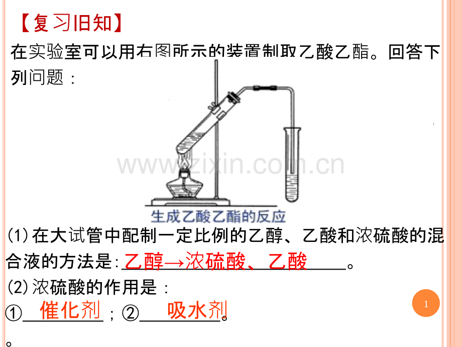 酯的水解.ppt_第1页