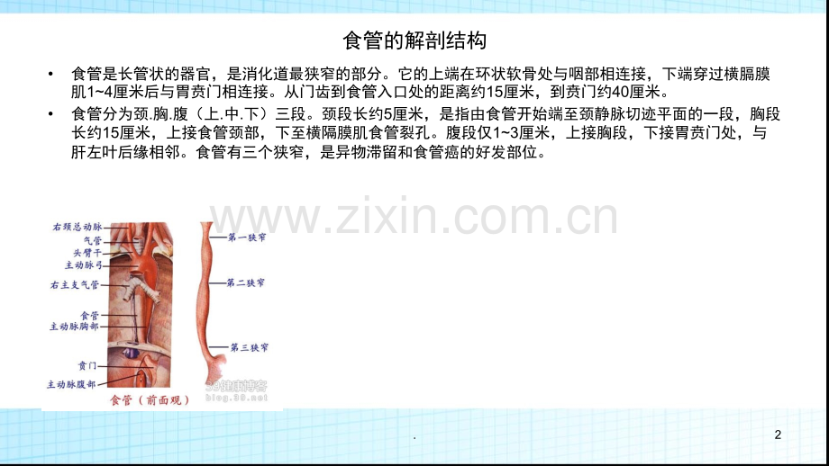 三切口食管癌根治术的配合.ppt_第2页