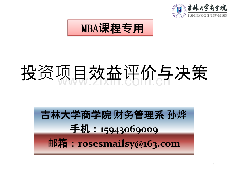 投资项目效益评价与决策-.ppt_第1页