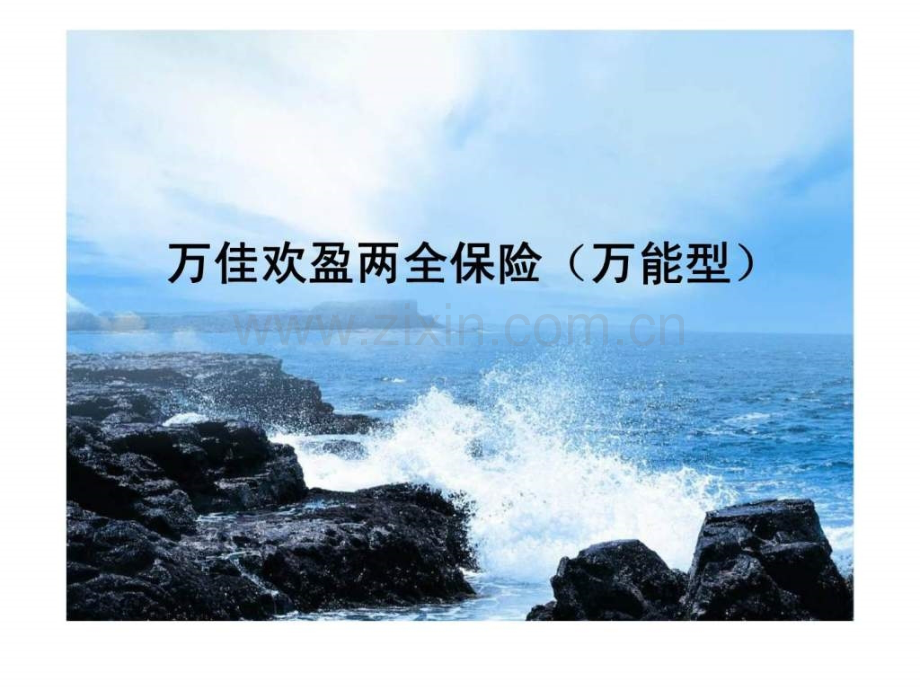 万佳欢盈两全保险(万能型).ppt_第1页