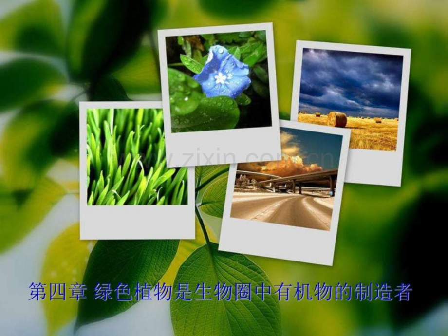 七级生物-第一节绿色植物通过光合作用制造有机物-人教新课标版.ppt_第1页