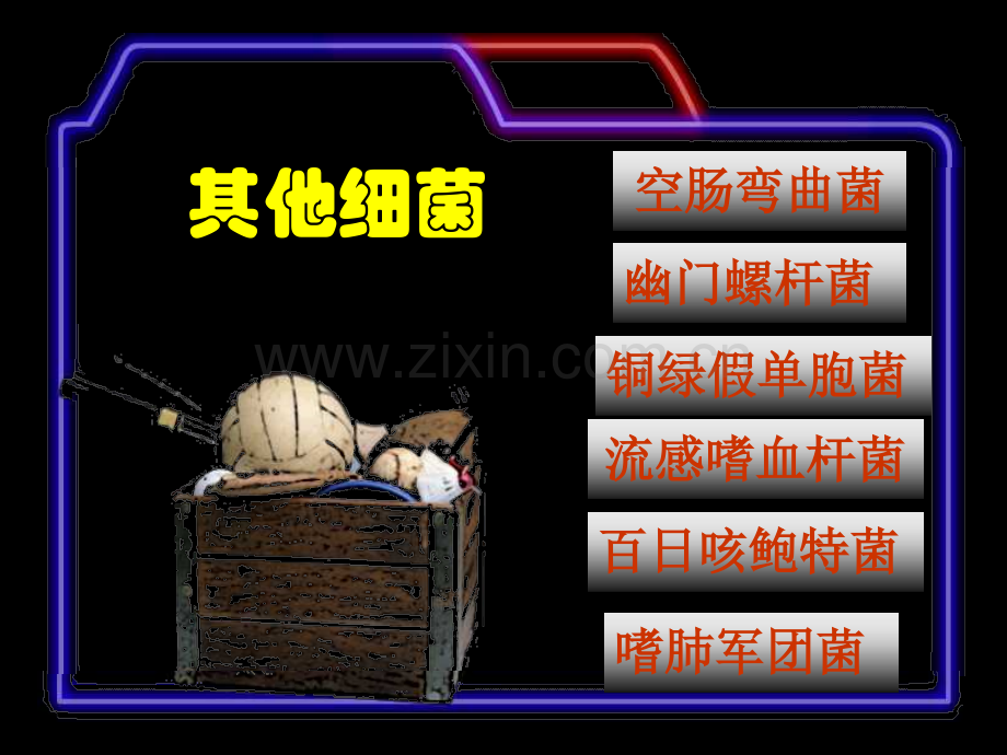 各类细菌特性.ppt_第1页