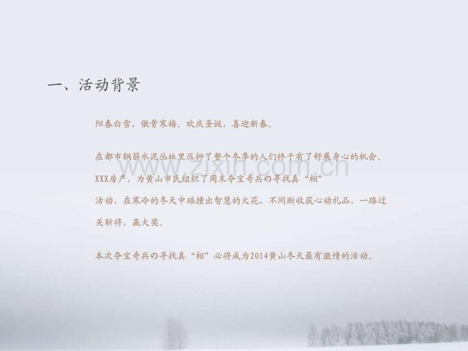 XXXX活动策划方案.ppt_第2页