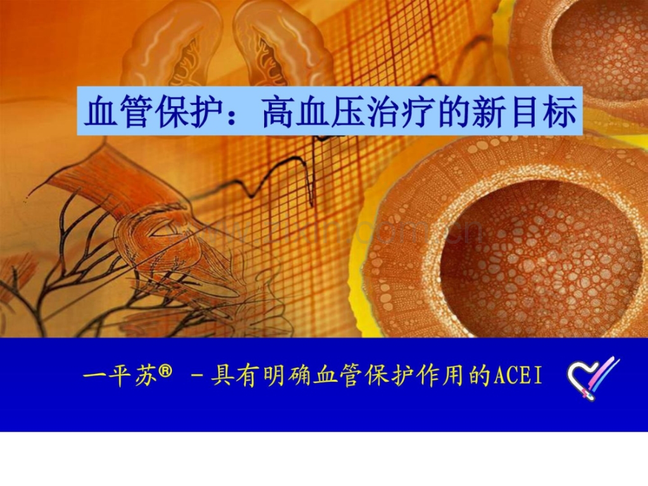 一平苏具有明确血管保护作用ACEI.ppt_第1页