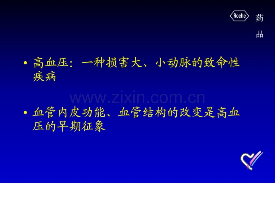 一平苏具有明确血管保护作用ACEI.ppt_第2页