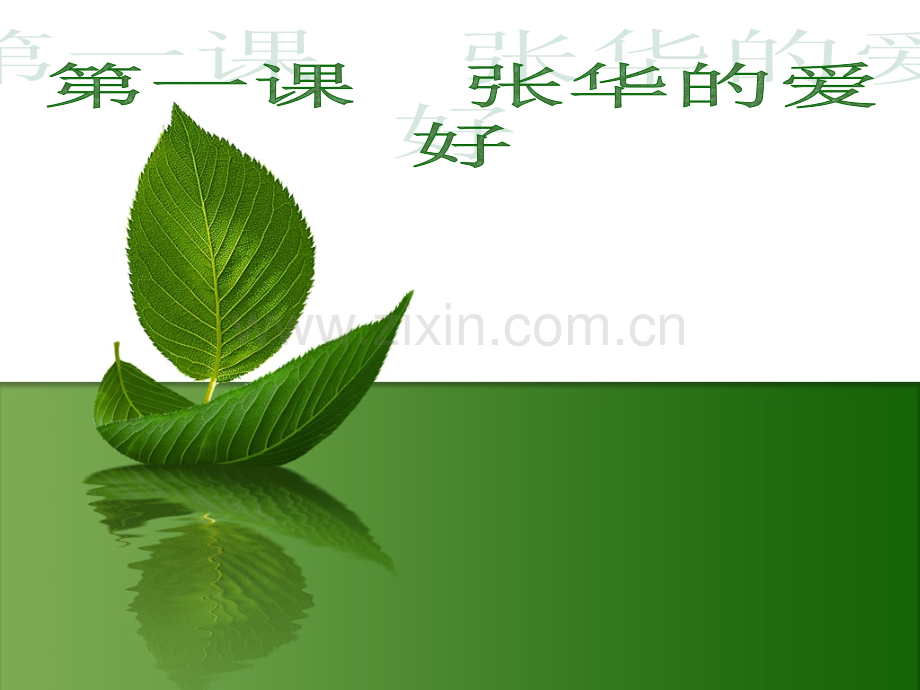 张华的爱好.ppt_第1页