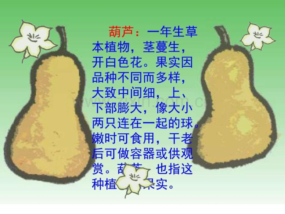 人教版二级上课文14《我要是葫芦》语文小学教育教育专区.ppt_第2页