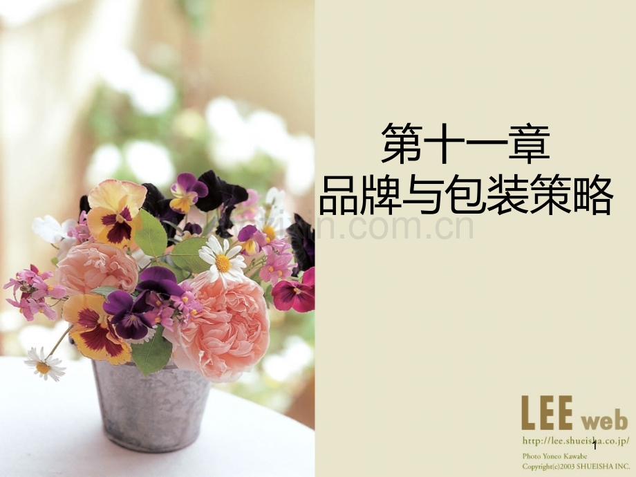 市场营销学课件第章.ppt_第1页