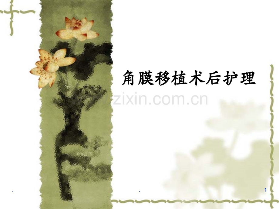 角膜移植术后护理.ppt_第1页