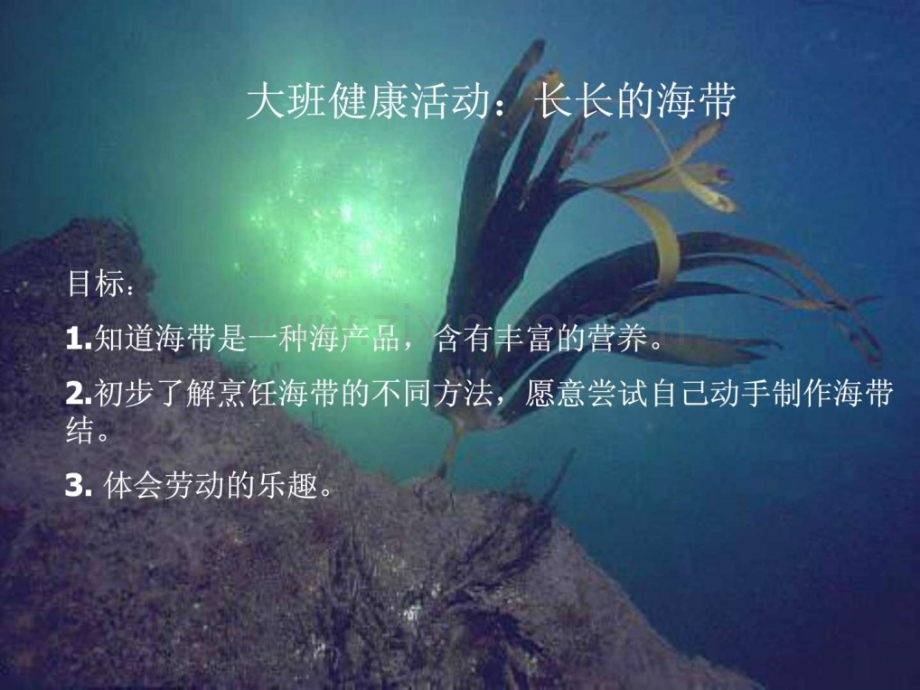 大班健康活动《长长海带》.ppt_第1页