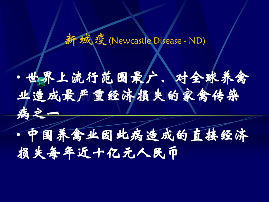 新城疫讲稿.ppt_第2页