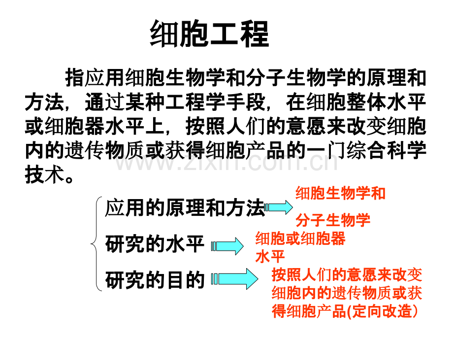 植物组织培养.ppt_第2页