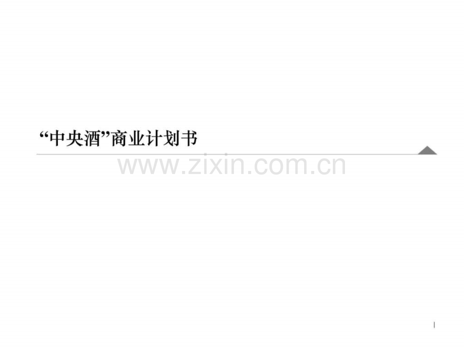 中央酒商业计划书.ppt_第1页
