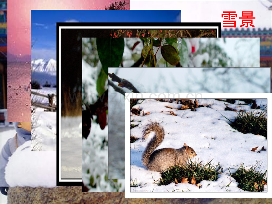 雪(王歌)-.pptx_第2页
