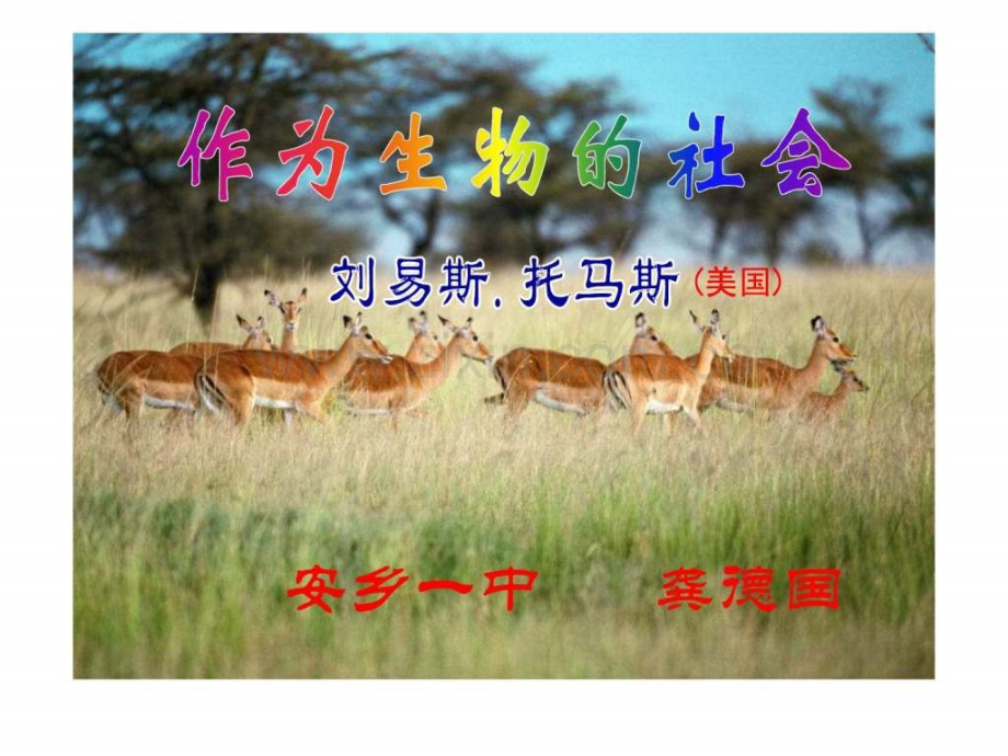 《作为生物社会》上课用.ppt_第1页