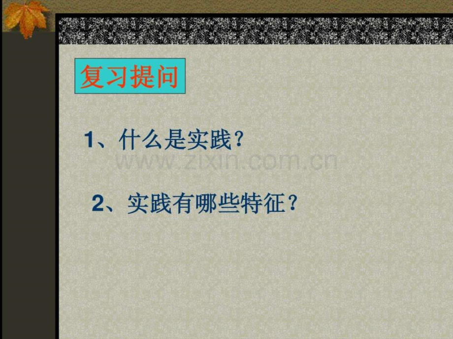 实践对社会发展决定作用.ppt_第2页