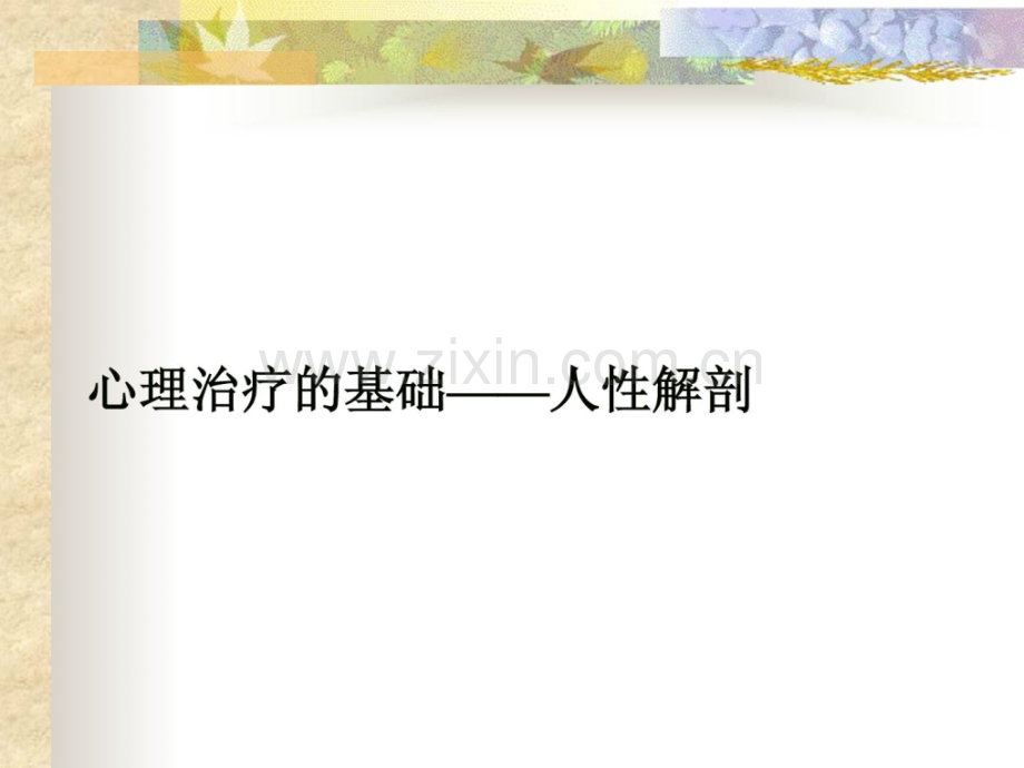 心思治疗基础——人性解剖.ppt_第1页